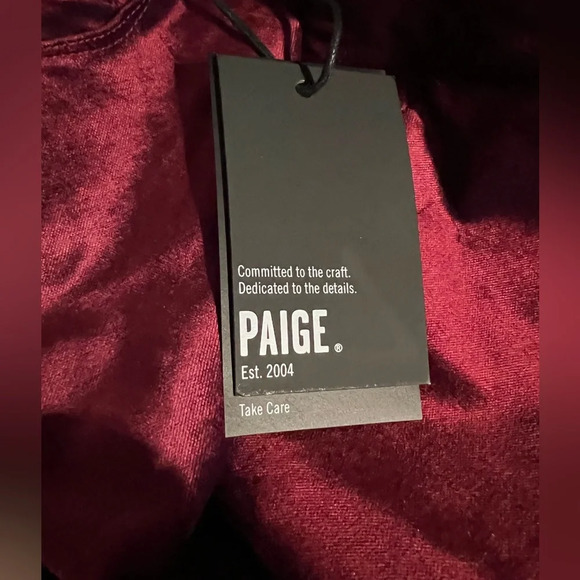 Paige Hoxton Ultra Skinny Velvet Jeans - Picture 11 of 12